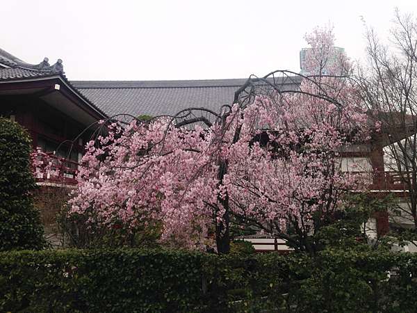 日本 東京景點推薦 赤羽橋駛 芝公園 賞櫻 欣賞東京鐵塔 姐妹倆吃喝玩樂不想停 痞客邦 日本 東京景點推薦 赤羽橋駛 芝公園 賞櫻 欣賞東京鐵塔 姐妹倆吃喝玩樂不想停 痞客邦