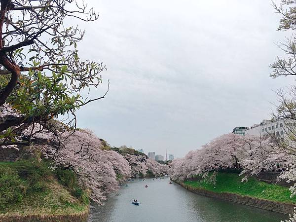 2017410 代代木、千鳥之淵_170413_0033