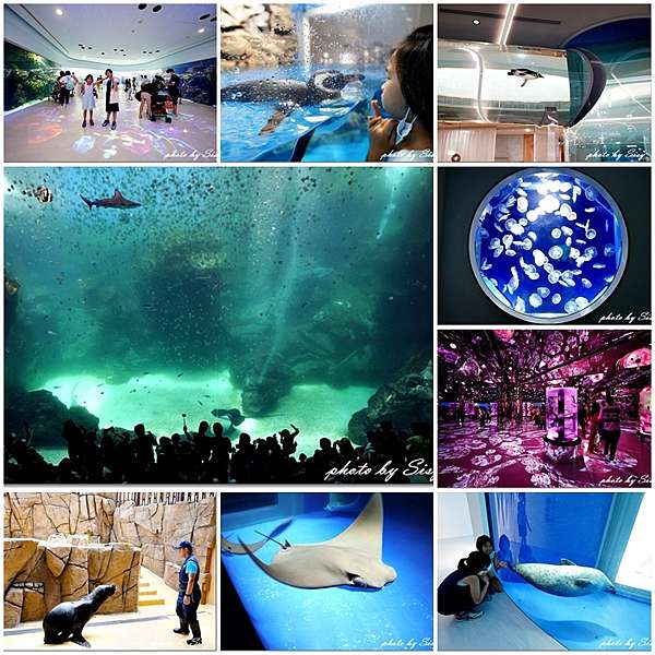 桃園親子景點 Xpark水族館攻略 日本八景島水族館首度來台 和企鵝一起用餐 門票購票 交通停車 場次時間 置地廣場 華泰名品城 西西和q米爸の親子旅遊美食 Sisy S碎碎念 桃園親子景點 Xpark水族館攻略 日本八景島水族館首度來台 和企鵝一起用餐 門票購票 交通停車 場次時間 置地廣場 華泰名品城 西西和q米爸の親子旅遊美食 Sisy S碎碎念