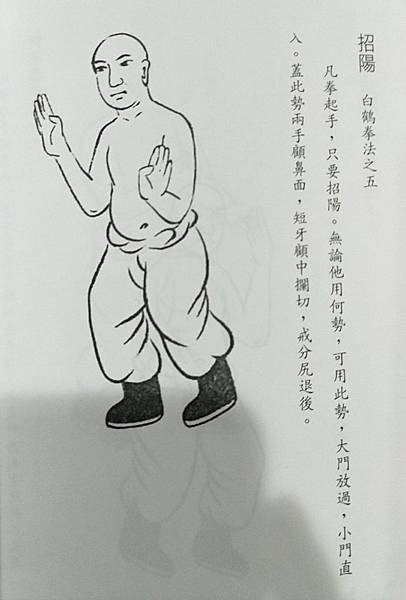 白鶴拳・白鶴門食鶴拳 Amazon.com: 白鶴門食鶴拳―秘拳: 9784415011974: Ginzan Ryuu: 圖書
