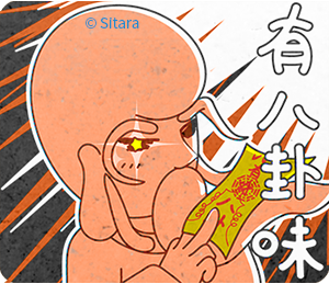 來自Sitara的鄉民風味 1