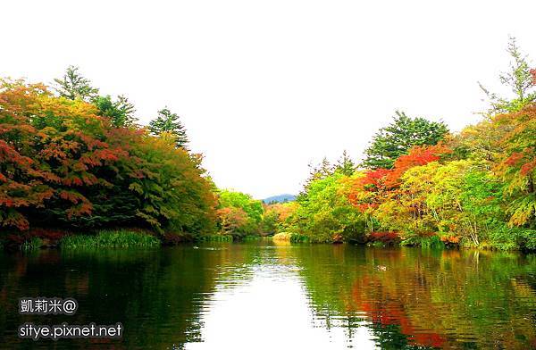 雲湯池 (13).jpg