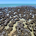 Australia - Hamelin Pool.jpg