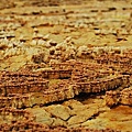 Ethopia - Dallol.jpg