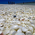 shell beach.jpg