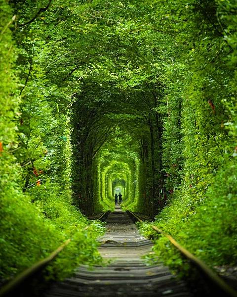 love tunnel.jpg