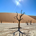 N-Deadvlei.jpg