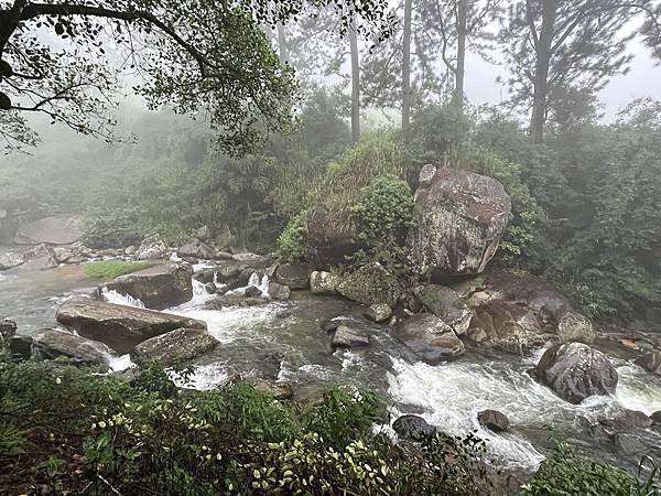 斯里蘭卡 (7)  -  Day 4  錫蘭茶園  - 10