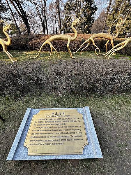 西安 ‧ 雁塔 - 大唐芙蓉園 (2/17/24) - Pa