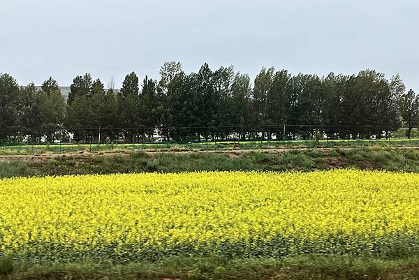 甘青遊 (9) - 阿柔大寺 - 6/20/24