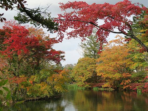 IMG_0471.JPG IMG_0471.JPG