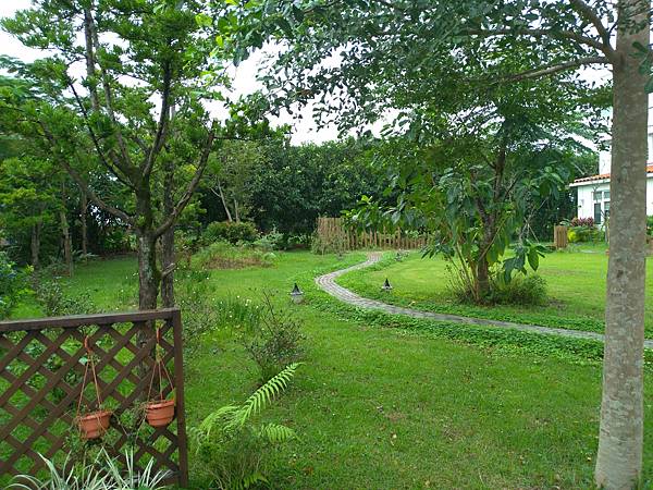 P_20211112_092147.jpg P_20211112_092147.jpg