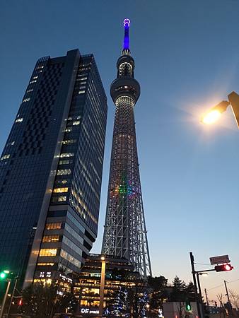 P_20230308_175913.jpg P_20230308_175913.jpg