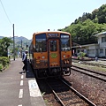 日本四國 Shikoku自由行（三）鐵路遊 沿海予讚線 橫貫觀光予土線 土讚線