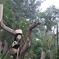 熊貓基地