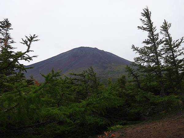 奧庭 富士山