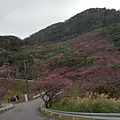 八重岳櫻之森公園20170201_165509