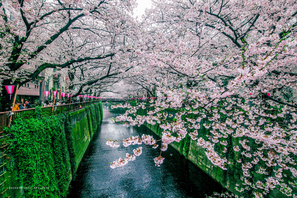 IMG_7170.JPG IMG_7170.JPG