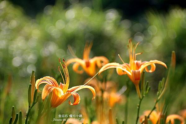 IMG_8240.jpg