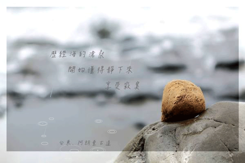 004.gif 004.gif