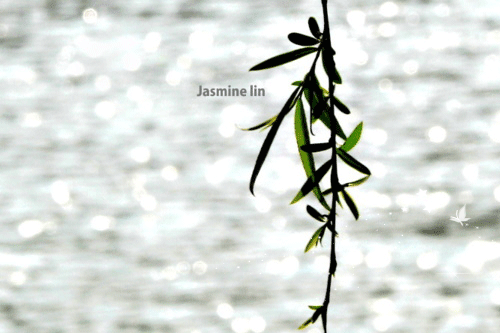 010.gif 010.gif