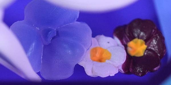 香水瓶3_14.jpg 香水瓶3_14.jpg