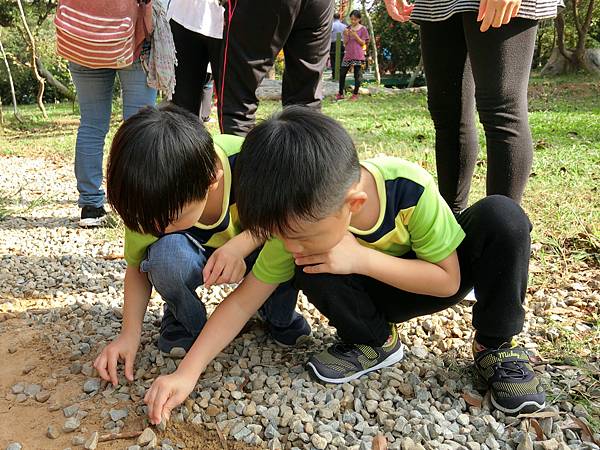 1201親山愛家活動 (150).JPG