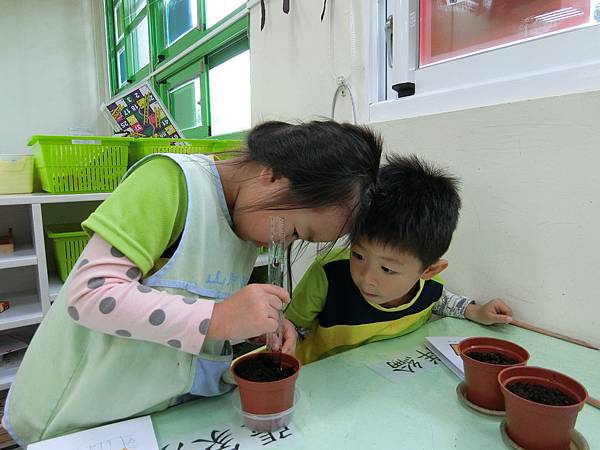 7測量發芽的高度 (7).JPG