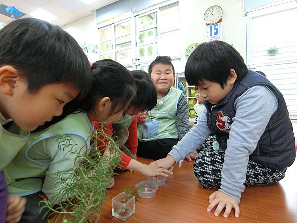 甚麼是香草 聞聞看 (6).JPG