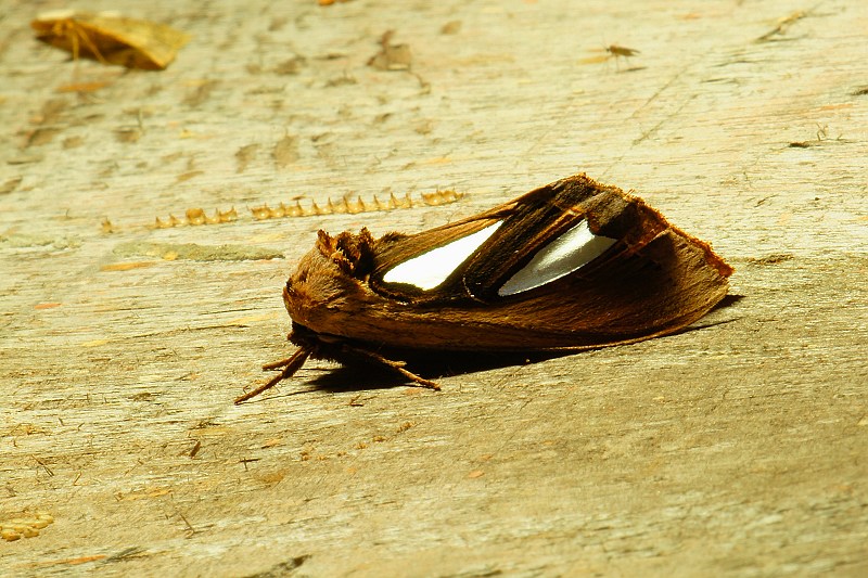 DSC08798 DSC08798