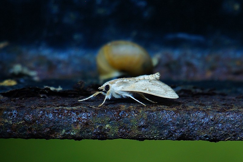 DSC08755 DSC08755