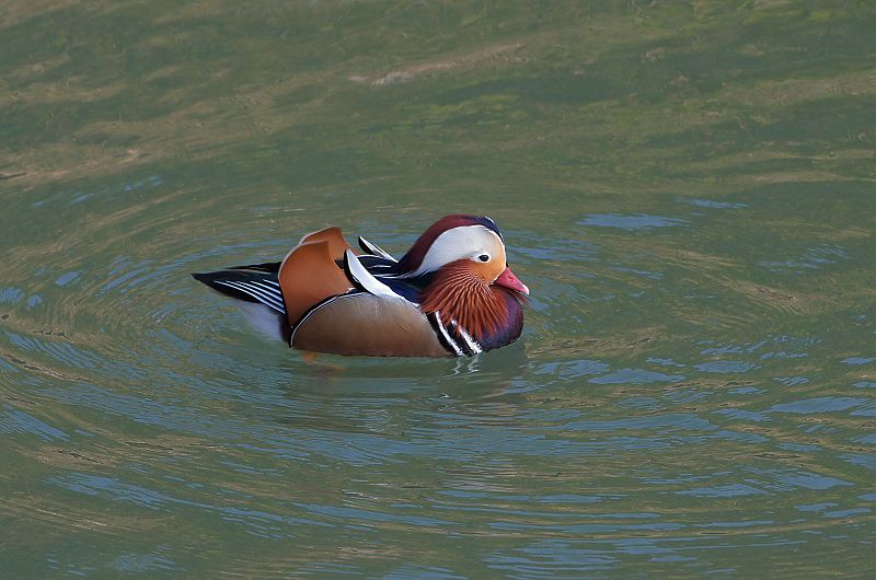 DSC05936 DSC05936