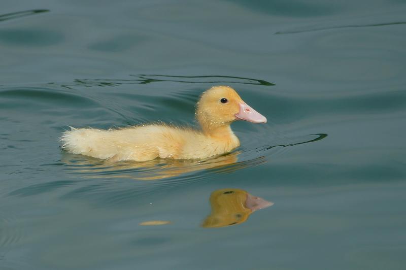 DSC041 DSC041
