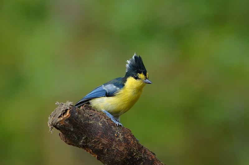 DSC041 DSC041