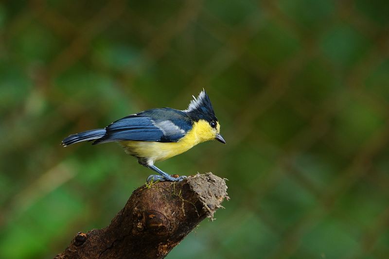 DSC044 DSC044