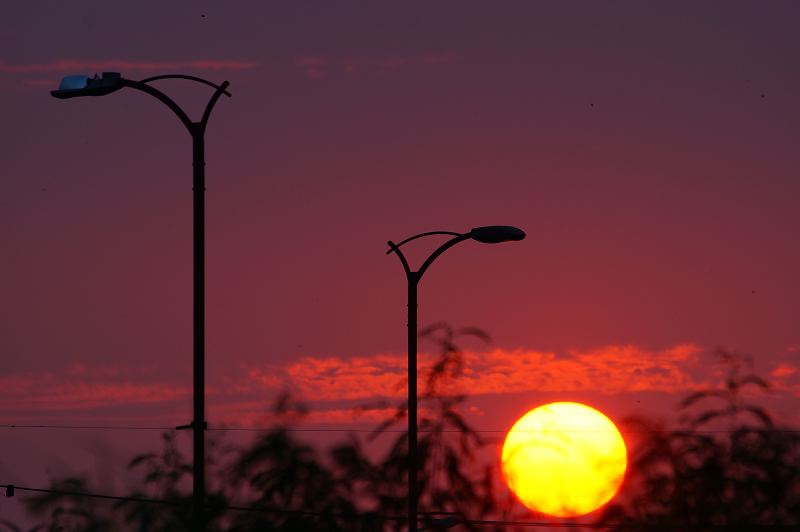 DSC029 DSC029