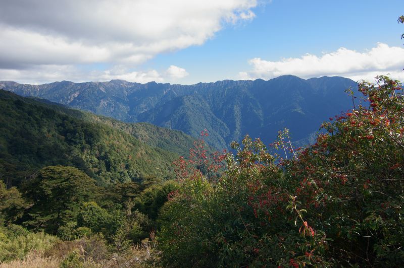 DSC0012 DSC0012