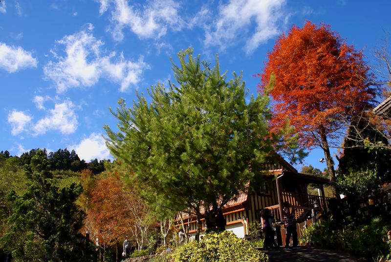 DSC00143 DSC00143