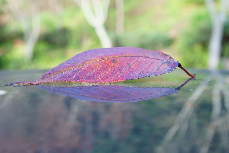 DSC0090 DSC0090