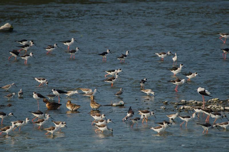 DSC0315 DSC0315