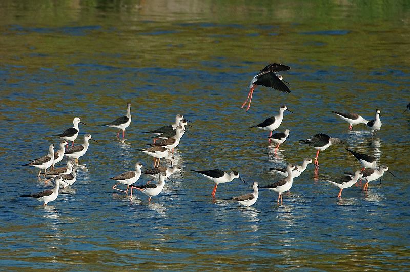 DSC075 DSC075