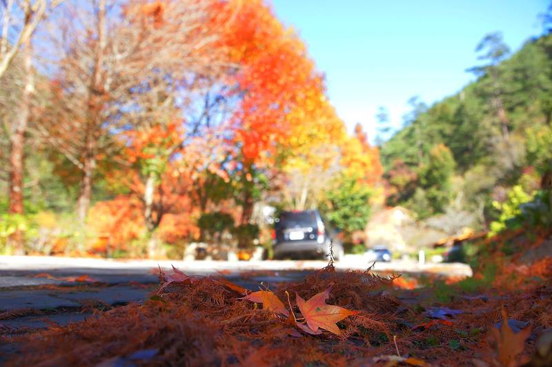 DSC0089 DSC0089