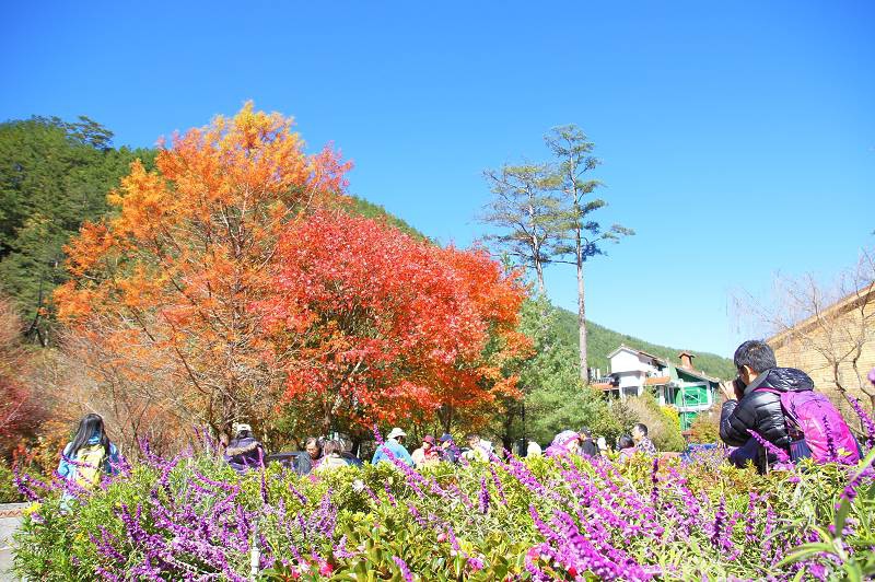 DSC0095 DSC0095