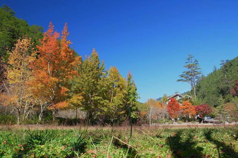 DSC00107 DSC00107