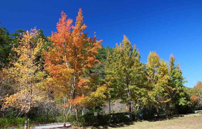 DSC00101 DSC00101