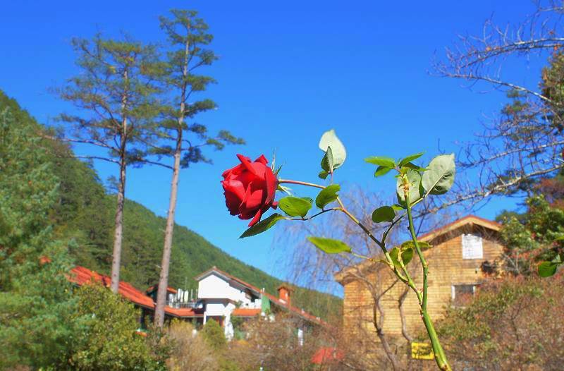 DSC0080 DSC0080