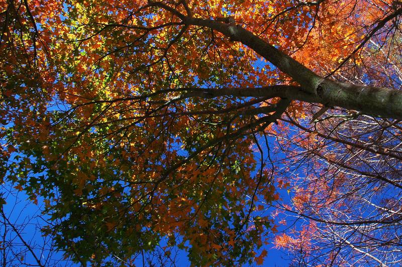 DSC00106 DSC00106
