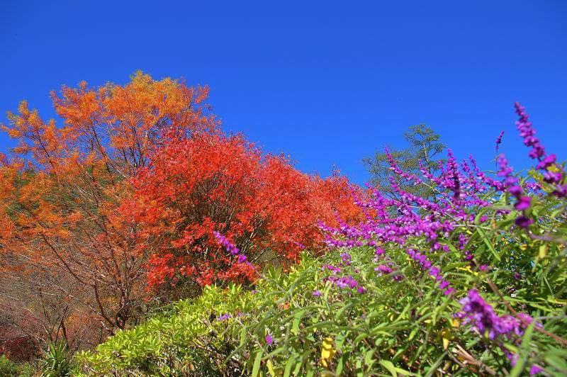 DSC0075 DSC0075