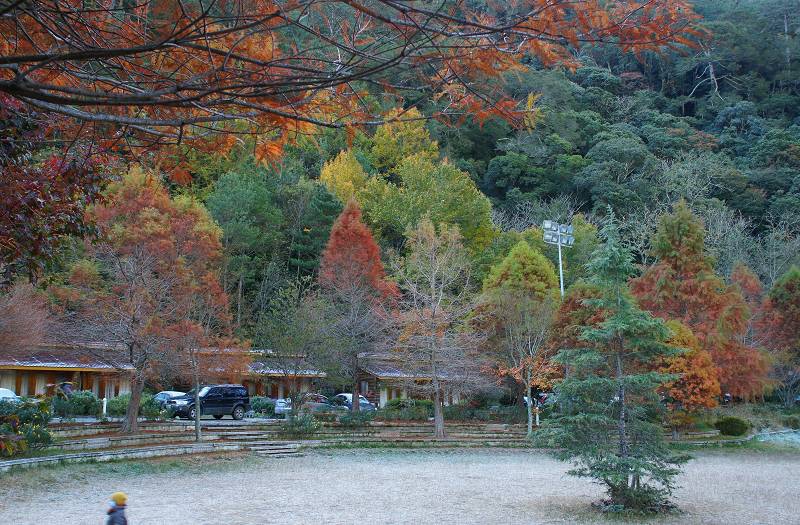 DSC00138 DSC00138