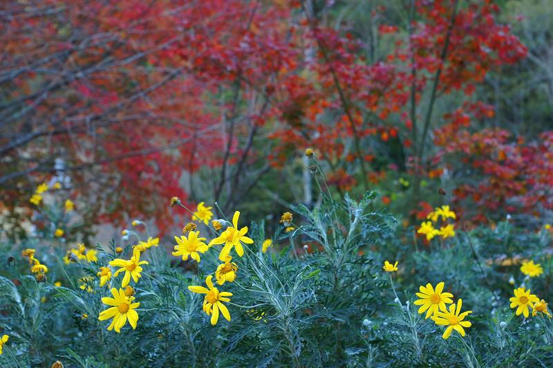 DSC00141 DSC00141